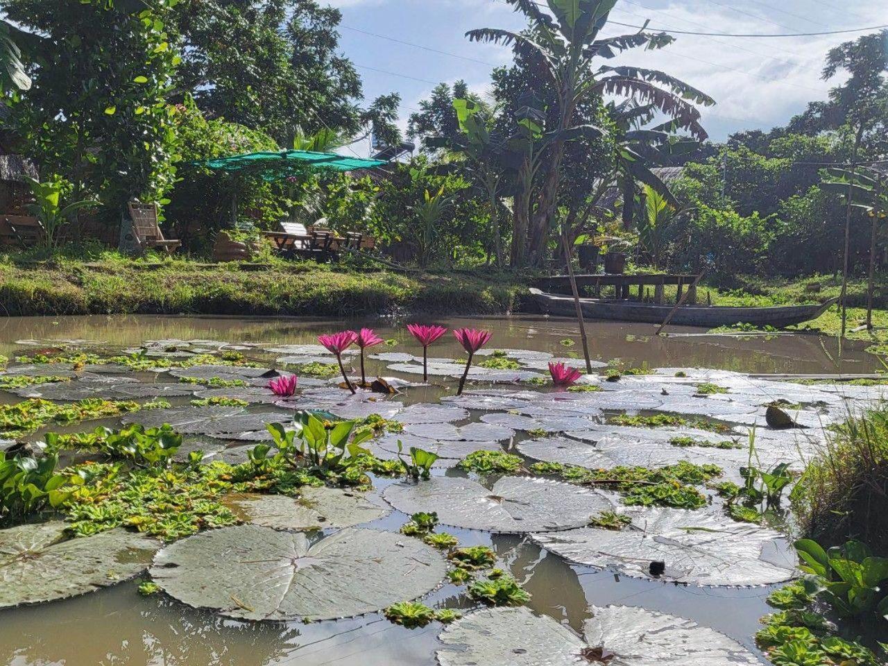 Mekong Daniel Homestay Can Tho Buitenkant foto
